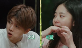 爆料吃瓜直播视频大全最新,热门视频大全大揭秘！